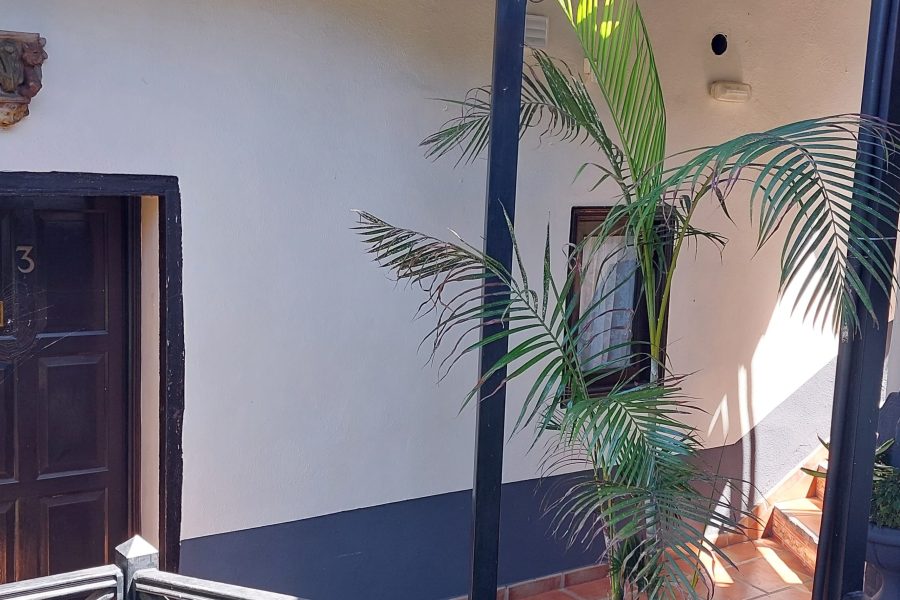 Rimini - Icod de los Vinos - Apartamentos Monasterio de San Antonio - adults only