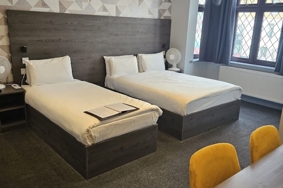 Rimini - Londra - Casuarina Tree