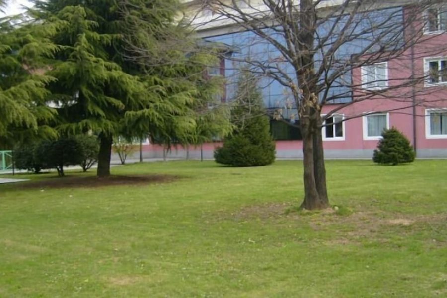 Roma - Bergamo - Art & Hotel Treviolo