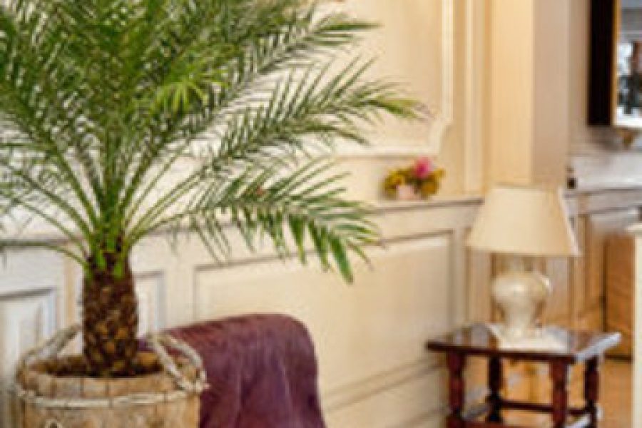 Bari - Versilia e Costa Toscana