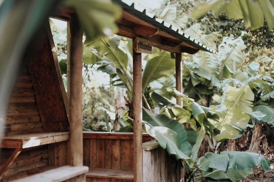 Roma - Angra do Heroísmo - Banana Eco Camp