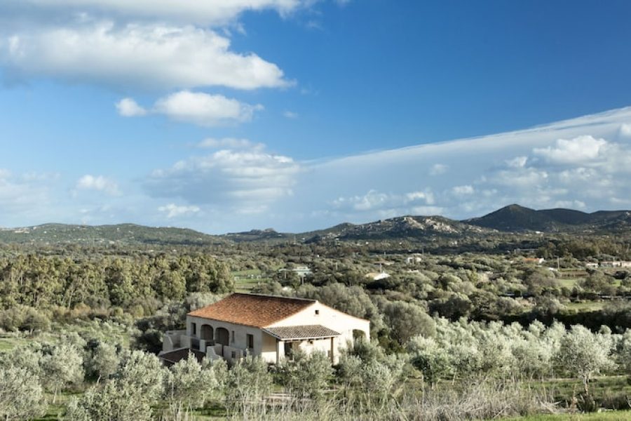 Pisa - Arzachena - Cascioni Eco Retreat