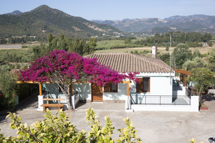 Pisa - Cardedu - La Corte Degli Ulivi