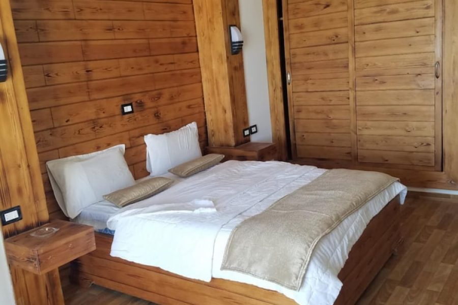 Bologna - Carthage - Palm Hotel