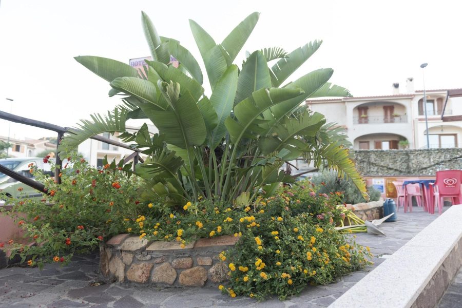 Roma - Domus de Maria - Hotel Jasmine