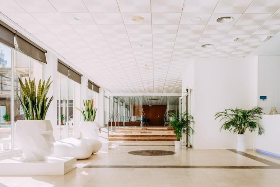 Verona - Gandia - Hotel Safari