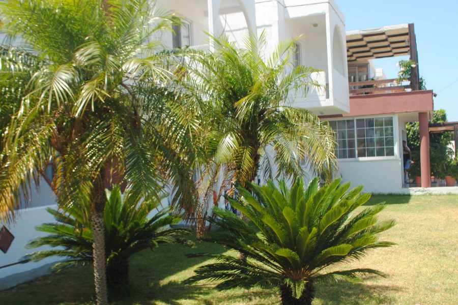 Pisa - Ialyssos - Summer Dream