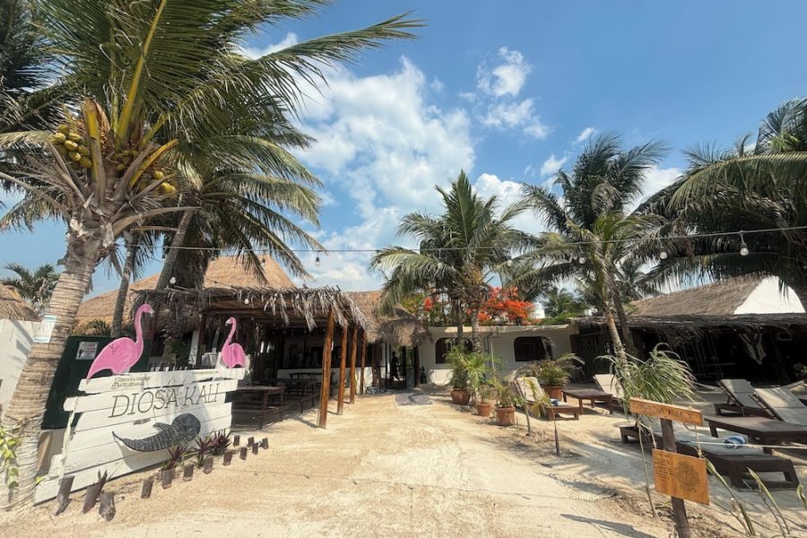 Bologna - Isla Holbox - La Diosa Kali Beach Front Hotel