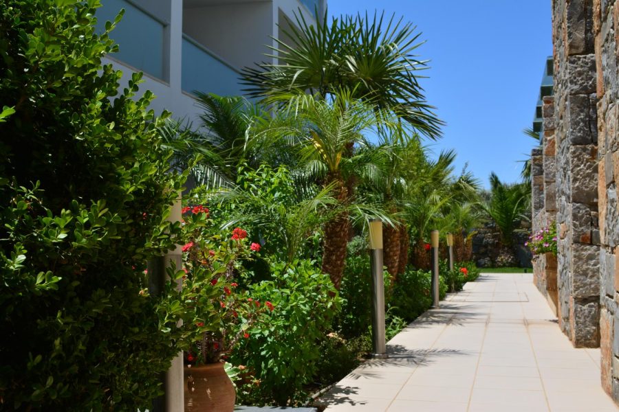 Bologna - Malia - Angela Suites Boutique/ Angela Studios & Apartment