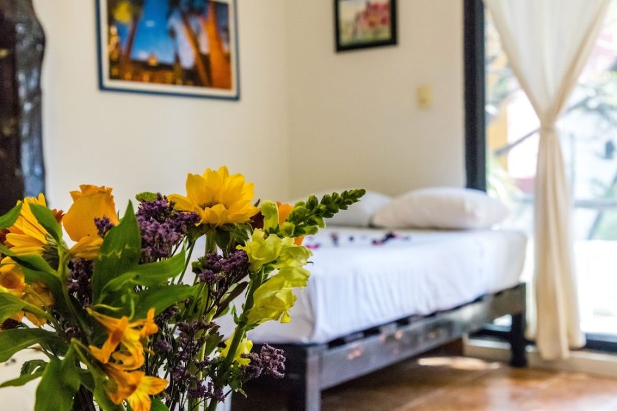 Torino - Playa del Carmen - Moonshine Hotel