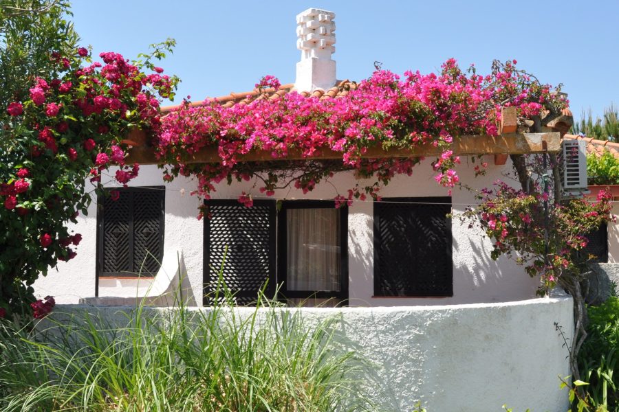 Milano - Tavira - Pedras Da Rainha