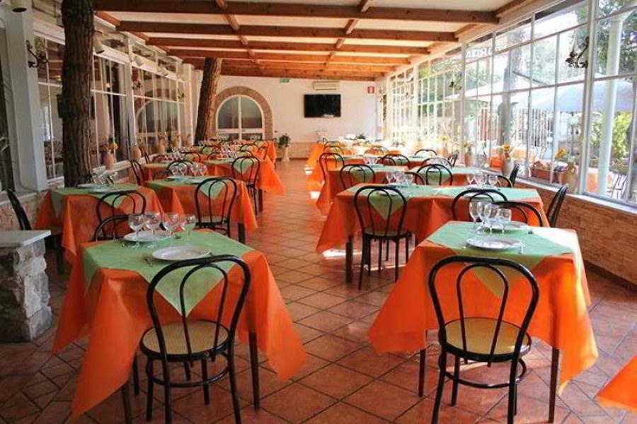 Palermo - Roma - Hotel Romulus