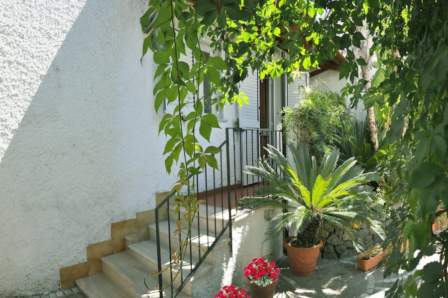 Milano - Ischia - Hotel Casa Cigliano