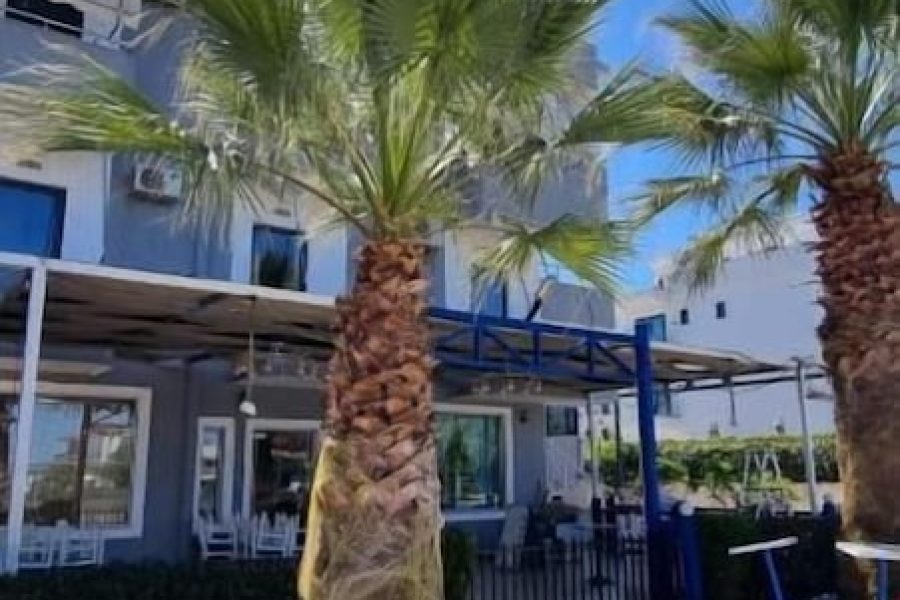 Genova - Ksamil - 2 Palmat Hotel