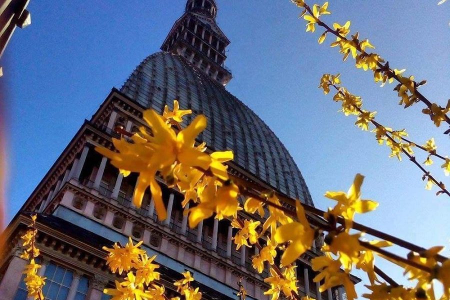 Lamezia Terme - Torino - Hotel Alpi Resort