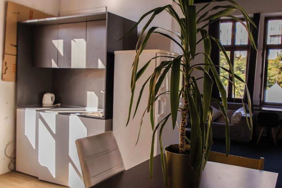 Roma - Bratislava - Blue Lotus Apartments