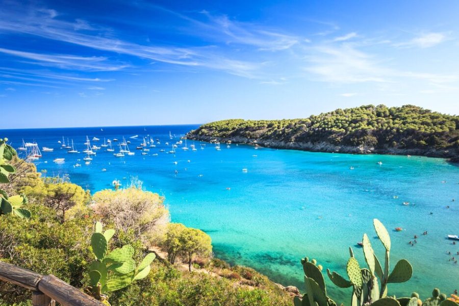 Napoli - Isola d'Elba