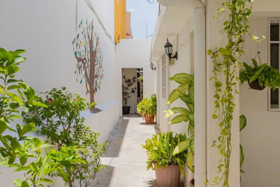 Roma - Cancun - Hotel Las Palmas Cancun Centro