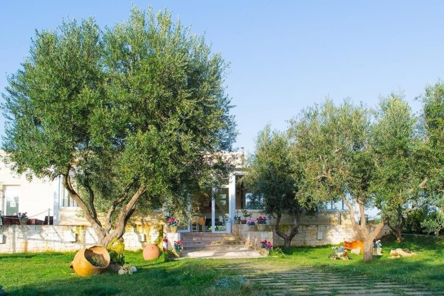 Pisa - Carovigno - Hotel Reverse