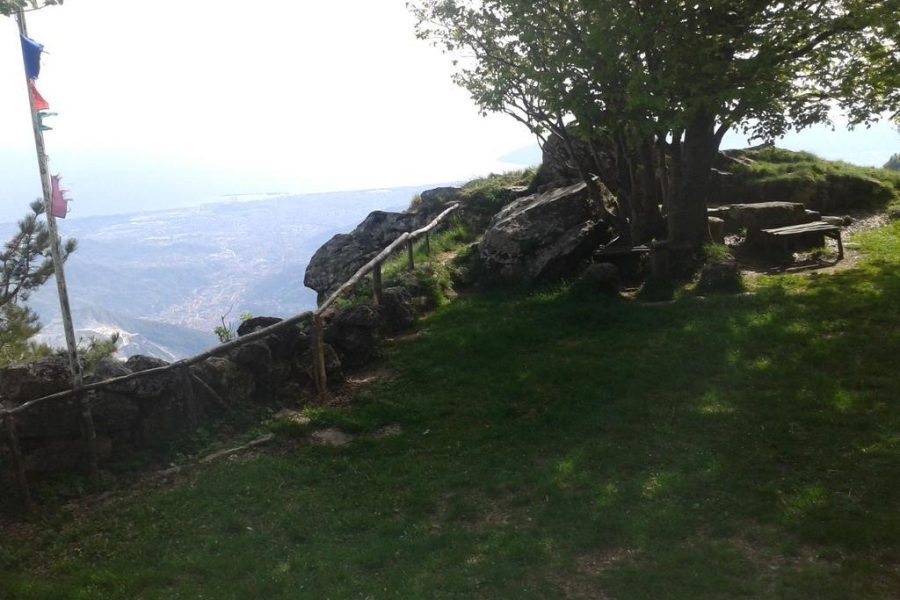 Milano - Forte dei Marmi - Hotel Daisy