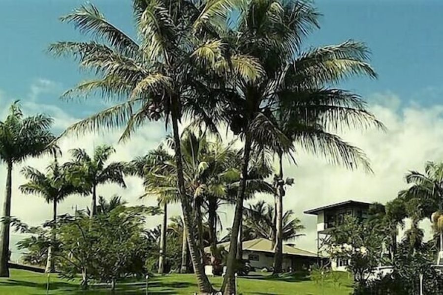 Roma - Hilo - Island Goode's - Luxury Adult Only Accommodation near Hilo