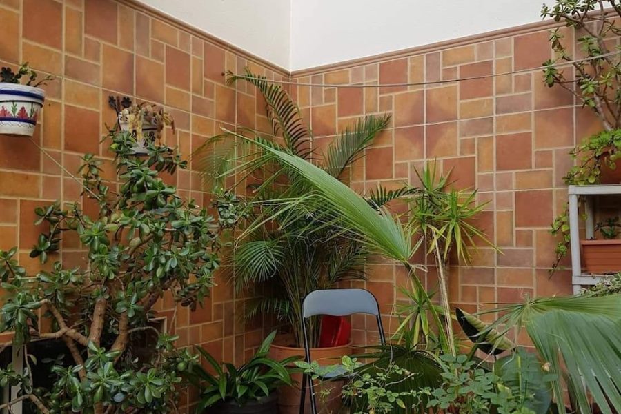 Milano - Huelva - La Vega Rooms