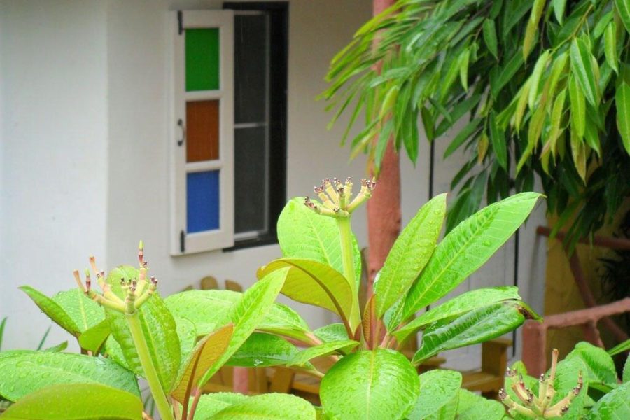 Milano - Khao Lak - Khaolak Banana Bungalow