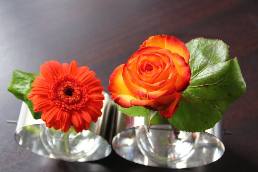 Napoli - Alti Pirenei - Hautes-Pyrénées