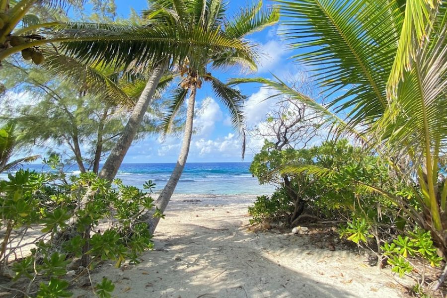 Milano - Moorea - MOOREA CHILL AND BEACH LODGE