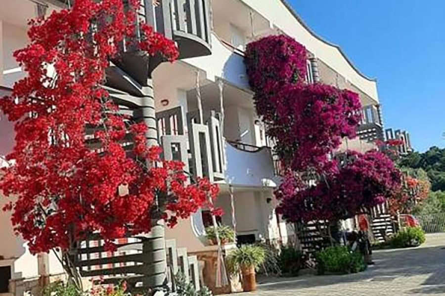 Milano - Peschici - Residence Jolly