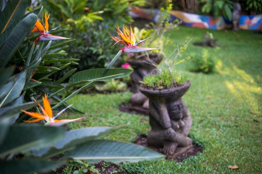 Milano - San Jose - Hotel Ave del Paraíso