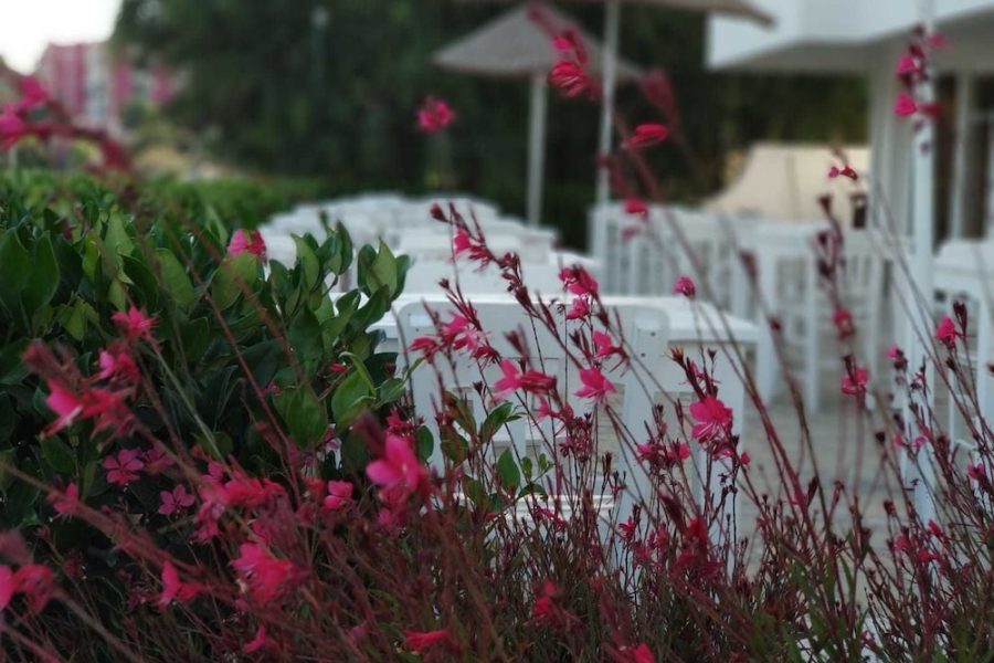 Roma - Çeşme - Cicek Apart Hotel