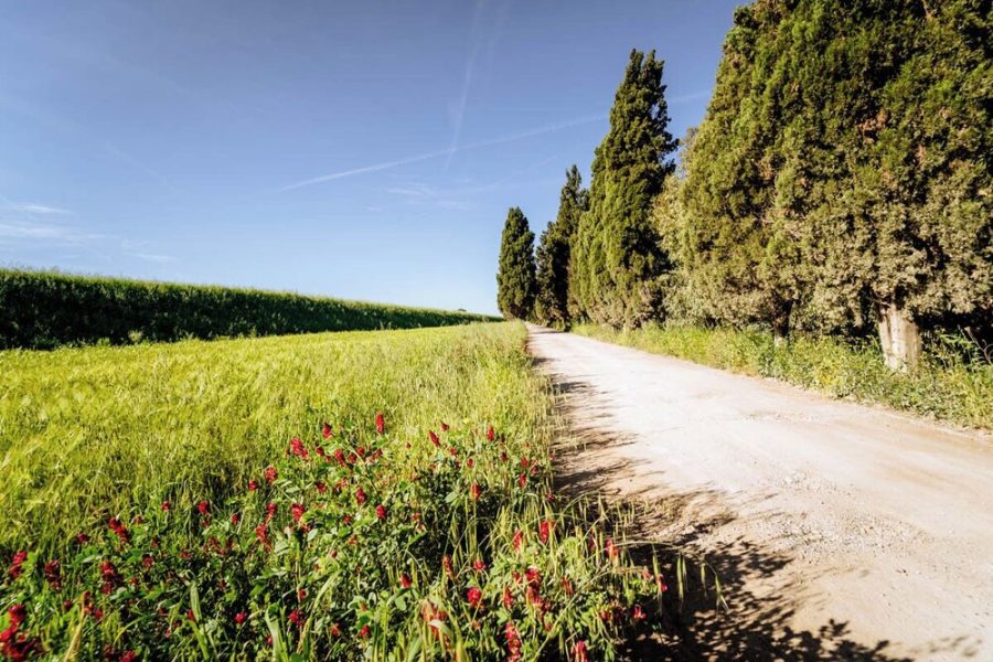 Roma - Grosseto - Agriturismo Bio San Mamiliano