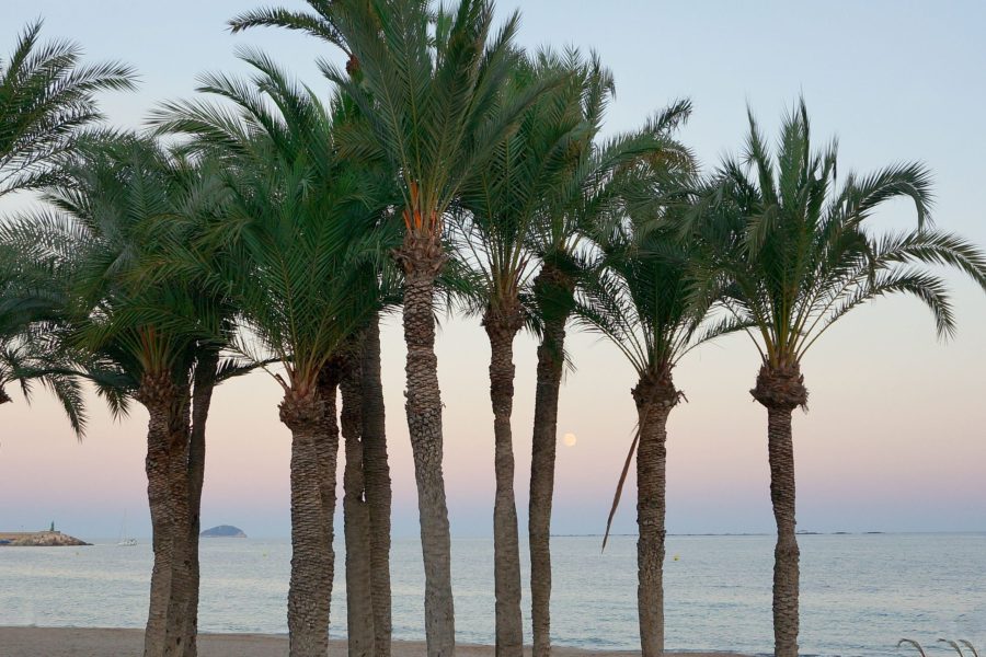 Napoli - Villajoyosa - Horizonte Line - Be Line Group