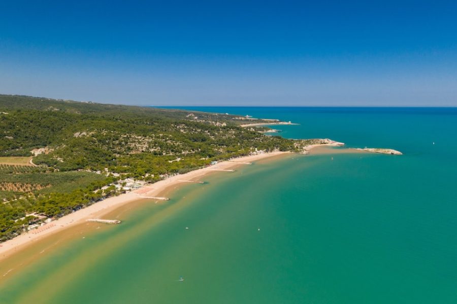 Pisa - Vieste - Villaggio Camping Spiaggia Lunga