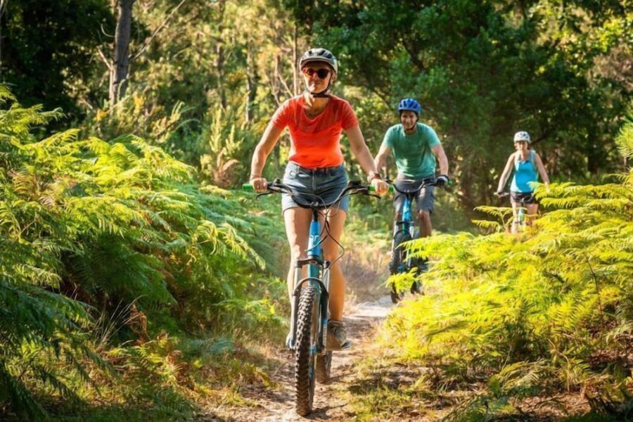 Roma - Bayonne - The Originals City