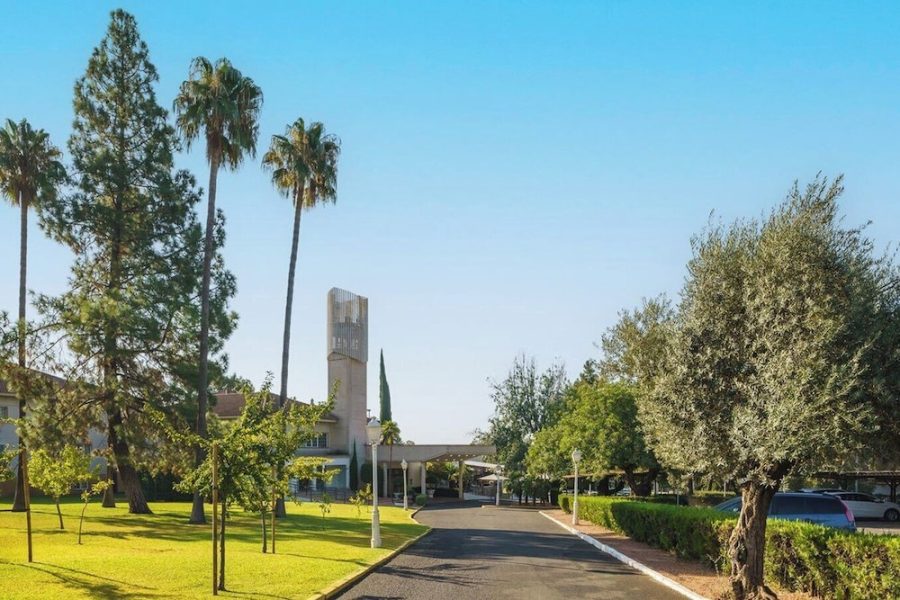 Roma - Cordoba - Crisol Jardines de Córdoba