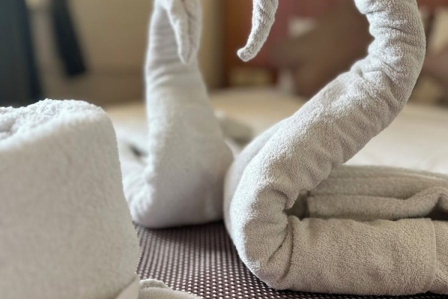 Roma - Istanbul - Divas Silver Hotel