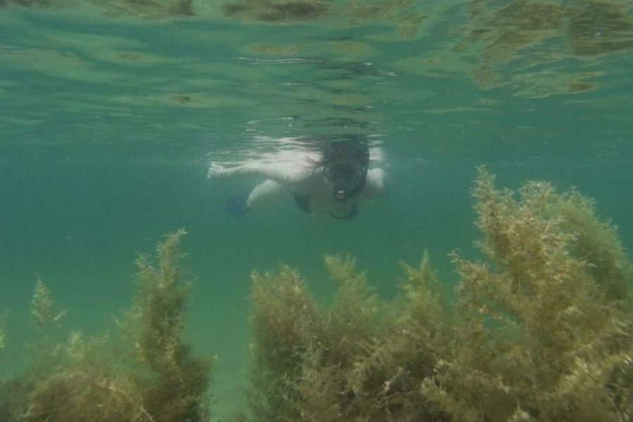 Bologna - Ko Jum - Golden Pearl Beach Resort