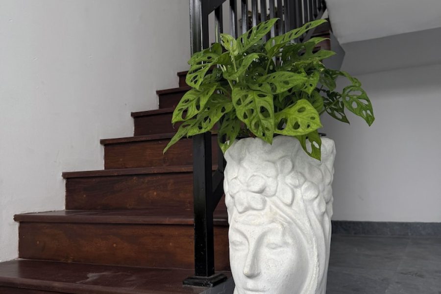 Roma - Matara - Pearl Kingdom Hotel & Resort