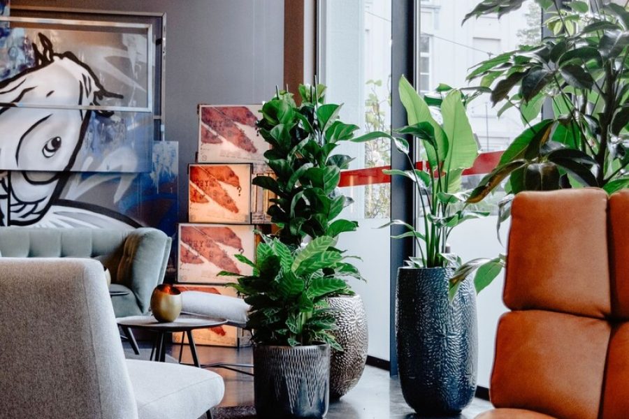 Pisa - Mechelen - Hotel Vé