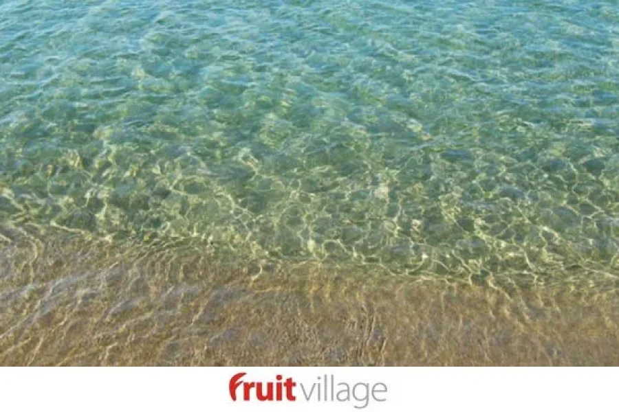 FRUIT VILLAGE PAESTUM MEDEA BEACH RESORT