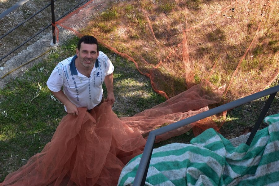 Napoli - Finale Ligure - Hotel La Gioiosa