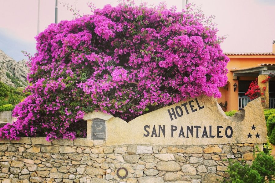 Venezia - Arzachena - Hotel San Pantaleo