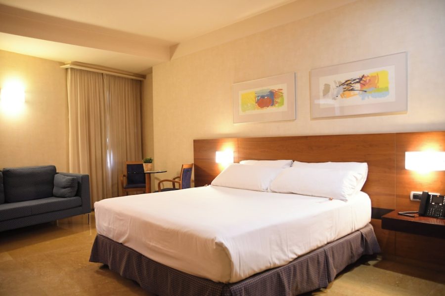 Roma - Murcia - Sercotel Palacio de Tudemir