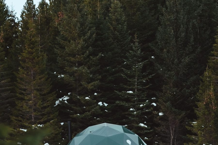 Palermo - Selfoss - Golden Circle Domes Glamping Experience