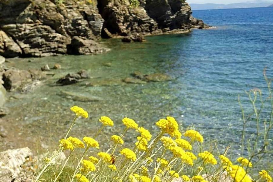 Milano - Isola d'Elba