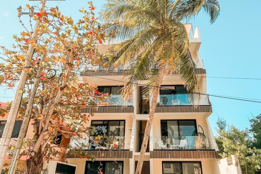 Roma - Puerto Morelos - Gaia Retreat