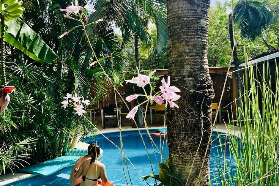 Venezia - Tamarindo - Ten North Tamarindo Beach Hotel