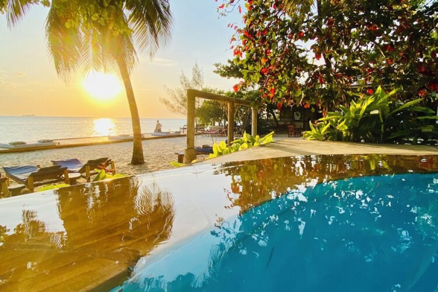 Bologna - Zanzibar Town - Mangrove Lodge